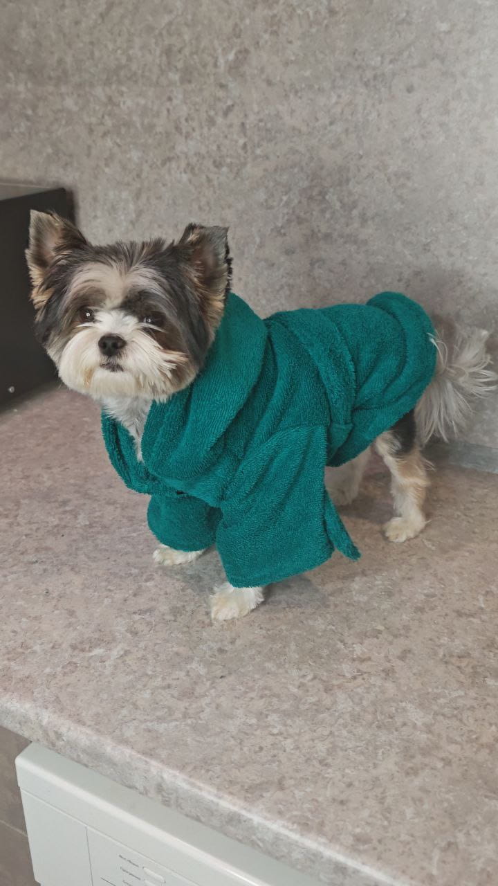 снимок Халат для собак махровый изумруд от магазина BIO-TEXTILES ОПТ