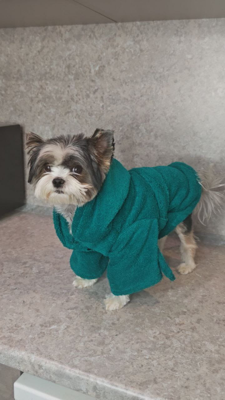 снимок Халат для собак махровый изумруд от магазина BIO-TEXTILES ОПТ